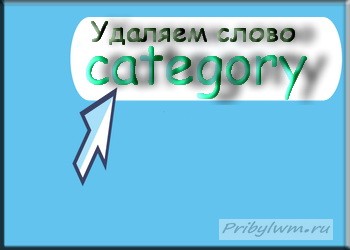Как и зачем нужно убрать category из WordPress блога?