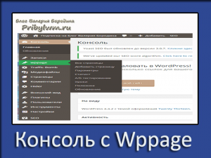 консоль с wppage
