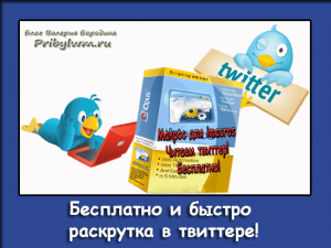 раскрутка в твиттере