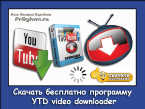 YTD video downloader