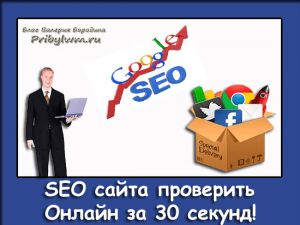 seo сайта проверить