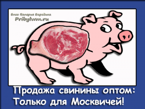 продажа свинины