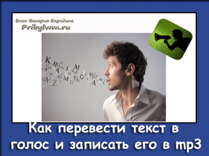 текст в голос