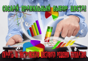 сочетание цветов