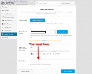 rank math search console integration