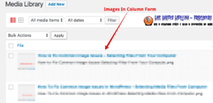 How To Fix Common Image Issues In WordPress Images In Column Form