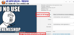 How To Fix Common Image Issues In WordPress locating an image in WP 2