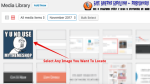 How To Fix Common Image Issues In WordPress select any image you want to locate