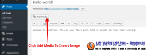How to fix common image issues in WordPress Add Image To Blog Post1