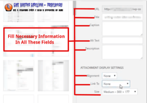 How to fix common image issues in WordPress Adding Images To blog post 5
