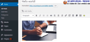 How to fix common image issues in WordPress Adding images to blog post 6