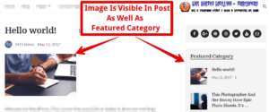 How to fix common image issues in WordPress Image is visible in category also