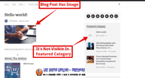 How to fix common image issues in WordPress Image not visible in blogroll 1