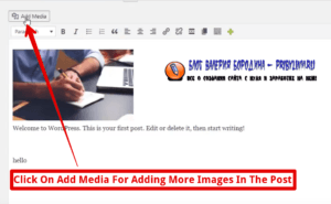 How to fix common image issues in WordPress add multiple images in post 1