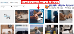 How to fix common image issues in WordPress adding alt text description and other details
