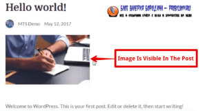 How to fix common image issues in WordPress adding images to a blog post 7