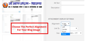 How to fix common image issues in WordPress choose perfect alignment for your blog post