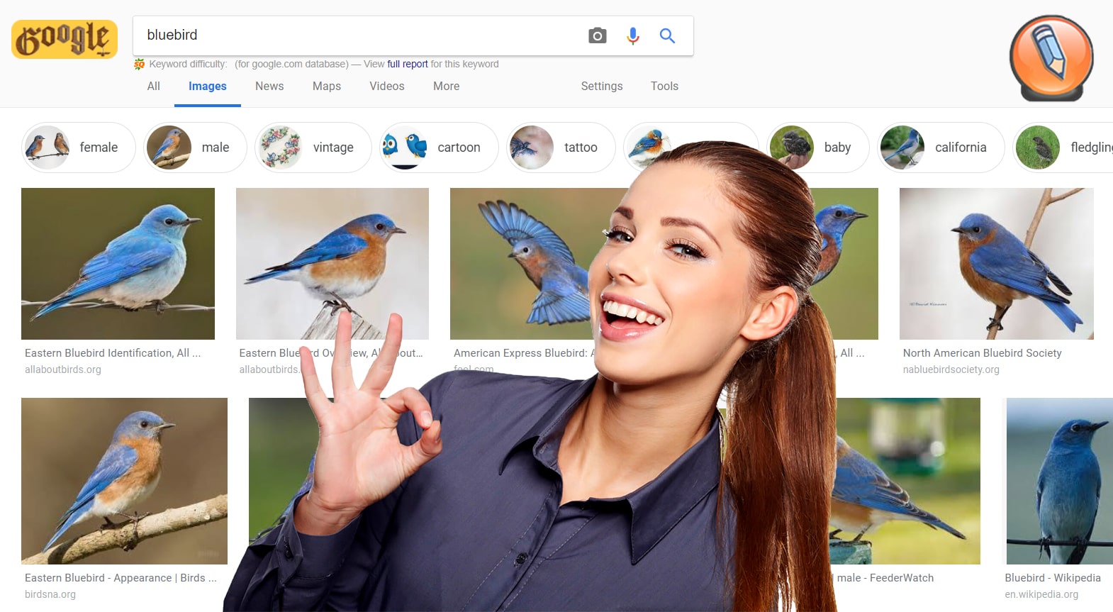 Приложение для поиска по фото. Поиск по картинке. Гугл поиск по фото. Найти птицу по фото с телефона. Поиск по фото гугл загрузить картинку.